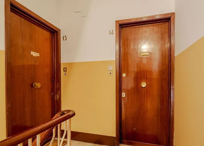 Guesthost - Bright *